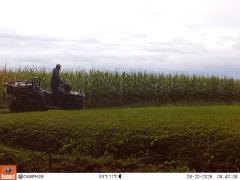 M2E137A1L195-0.0-0.0