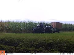 M2E125A1L177-0.0-0.0