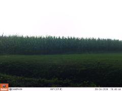 M2E134A1L191-0.0-0.0