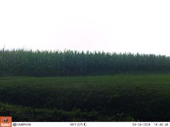 M2E133A1L190-0.0-0.0