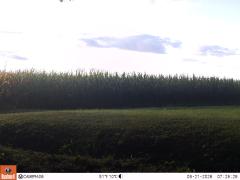 M2E141A1L199-0.0-0.0