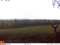 M2E123A1L175-0.0-0.0