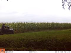 M2E151A1L209-0.0-0.0