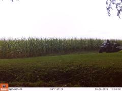 M2E139A1L197-0.0-0.0