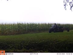 M2E145A1L203-0.0-0.0