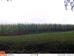 M2E143A1L201-0.0-0.0