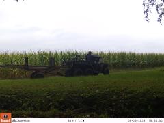 M2E151A1L209-0.0-0.0