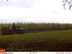 M2E161A1L218-0.0-0.0