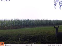 M2E123A1L175-0.0-0.0
