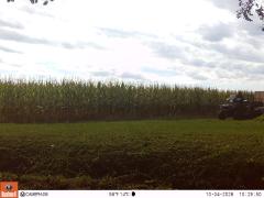 M2E172A1L229-0.0-0.0