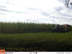 M2E172A1L229-0.0-0.0