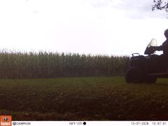 M2E166A1L223-0.0-0.0
