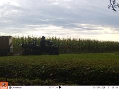 M2E175A1L232-0.0-0.0