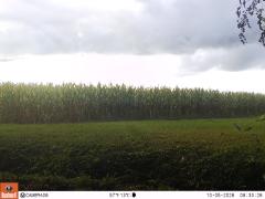 M2E126A1L178-0.0-0.0