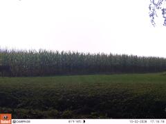 M2E133A1L190-0.0-0.0