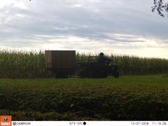 M2E175A1L232-0.0-0.0