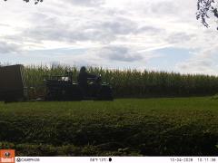 M2E175A1L232-0.0-0.0