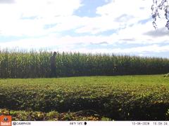 M2E183A1L242-0.0-0.0