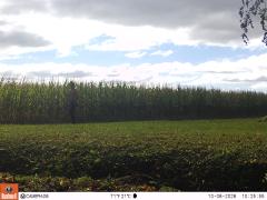 M2E183A1L244-0.0-0.0