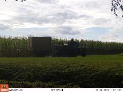 M2E175A1L232-0.0-0.0