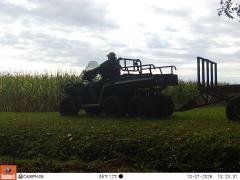 M2E162A1L219-0.0-0.0