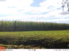 M2E183A1L242-0.0-0.0