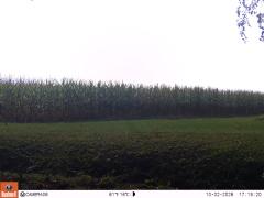 M2E133A1L190-0.0-0.0