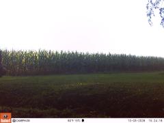 M2E136A1L194-0.0-0.0