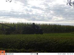 M2E175A1L232-0.0-0.0