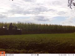 M2E175A1L232-0.0-0.0