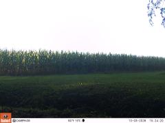 M2E136A1L194-0.0-0.0